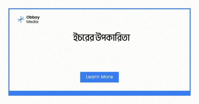 ইচরের উপকারিতা
