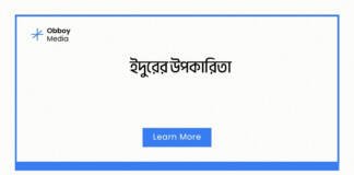 ইদুরের উপকারিতা