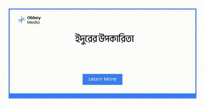 ইদুরের উপকারিতা