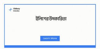 ইলিশের উপকারিতা