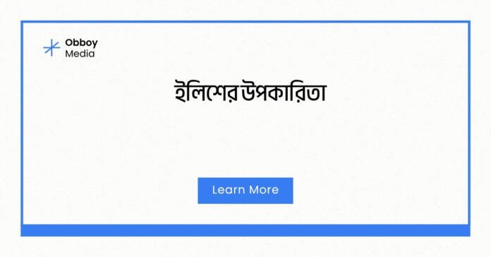 ইলিশের উপকারিতা
