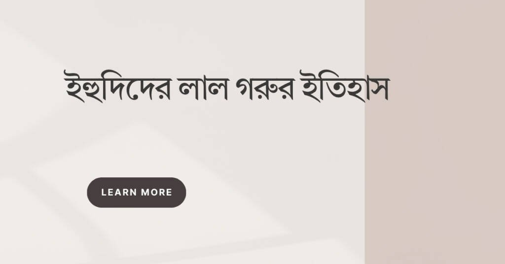 ইহুদিদের লাল গরুর ইতিহাস: একটি প্রতিকৃতি নয়, একটি প্রতিকৃতি ইহুদিদের লাল গরুর ইতিহাস