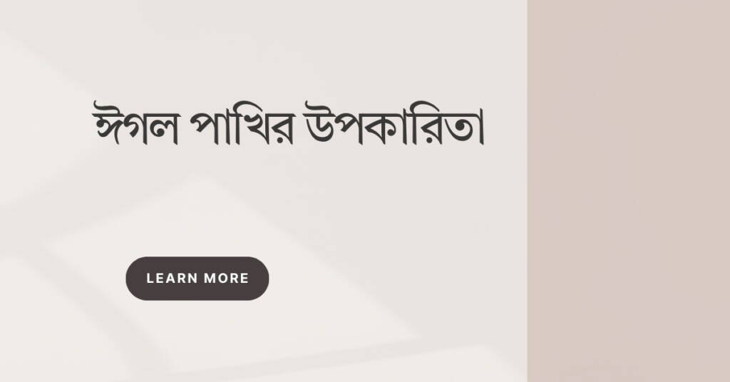 ঈগল পাখির উপকারিতা