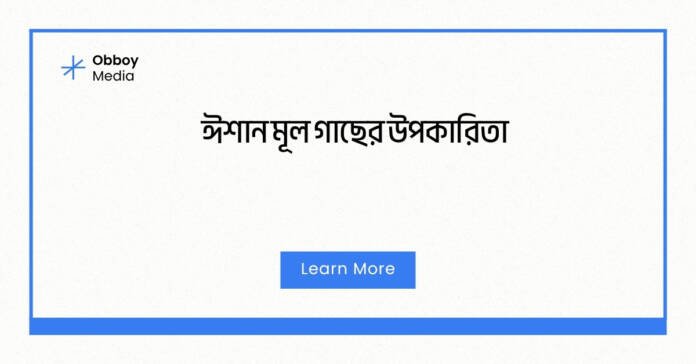 ঈশান মূল গাছের উপকারিতা