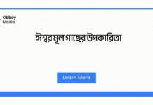 ঈশ্বর মূল গাছের উপকারিতা: স্বাস্থ্য, চর্বি নিয়ন্ত্রণ ও প্রাকৃতিক চিকিৎসা ঈশ্বর মূল গাছের উপকারিতা