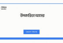 উপকারিতা আমের: স্বাস্থ্য, সৌন্দর্য ও দৈনন্দিন জীবনে এর গুরুত্ব উপকারিতা আমের
