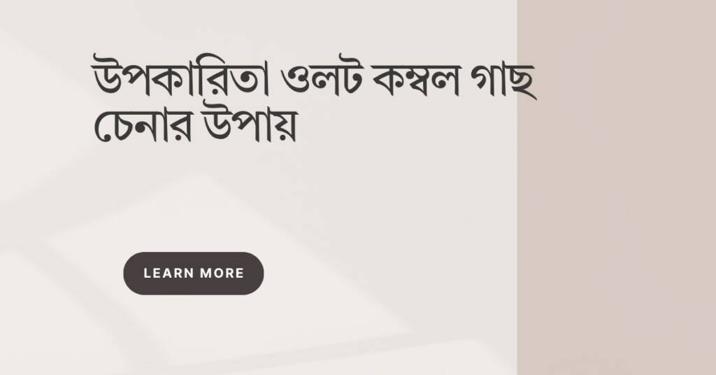 উপকারিতা ওলট কম্বল গাছ চেনার উপায় – সহজ ও সঠিক নির্দেশিকা উপকারিতা ওলট কম্বল গাছ চেনার উপায়