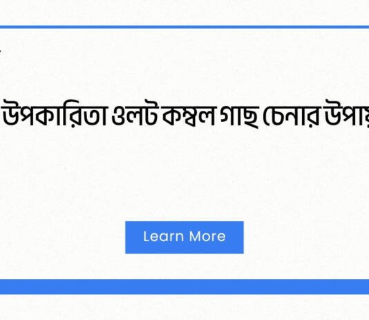 উপকারিতা ওলট কম্বল গাছ চেনার উপায় – সহজ ও সঠিক নির্দেশিকা উপকারিতা ওলট কম্বল গাছ চেনার উপায়