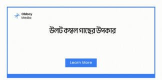 উলট কম্বল গাছের উপকার