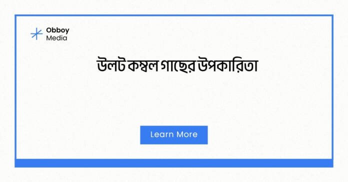 উলট কম্বল গাছের উপকারিতা