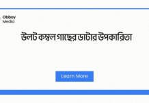 উলট কম্বল গাছের ডাটার উপকারিতা: এক অপরূপ ঔষধি গাছের গোপন শক্তি উলট কম্বল গাছের ডাটার উপকারিতা