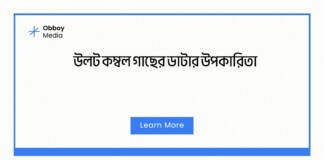 উলট কম্বল গাছের ডাটার উপকারিতা