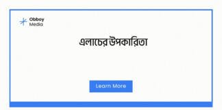এলাচের উপকারিতা