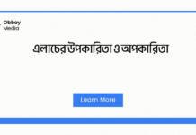 এলাচের উপকারিতা ও অপকারিতা: এক সম্পূর্ণ গাইড এলাচের উপকারিতা ও অপকারিতা