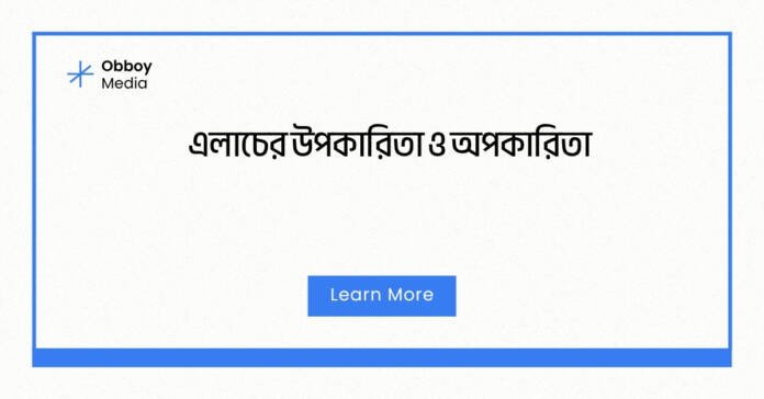 এলাচের উপকারিতা ও অপকারিতা এলাচের উপকারিতা ও অপকারিতা