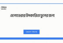 এলোভেরার উপকারিতা চুলের জন্য: প্রাকৃতিক চুল যত্নের সেরা সমাধান এলোভেরার উপকারিতা চুলের জন্য