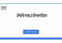 ঔষধি গাছ ও উপকারিতা