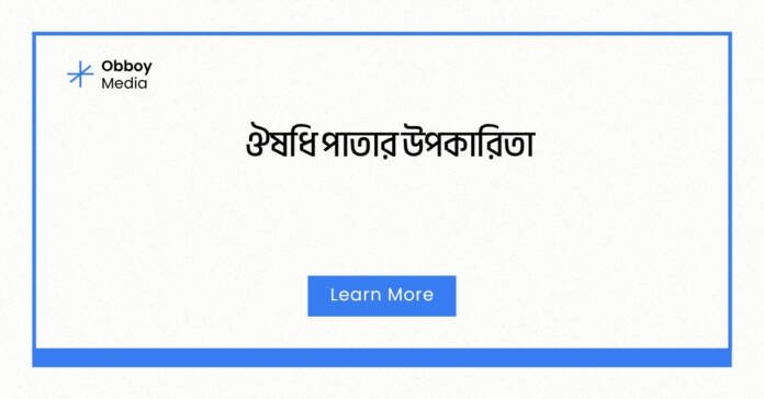 ঔষধি পাতার উপকারিতা ঔষধি পাতার উপকারিতা