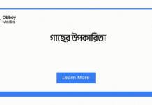 গাছের উপকারিতা