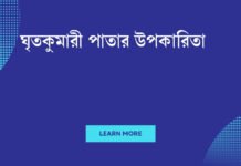 ঘৃতকুমারী পাতার উপকারিতা