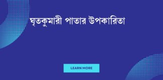 ঘৃতকুমারী পাতার উপকারিতা