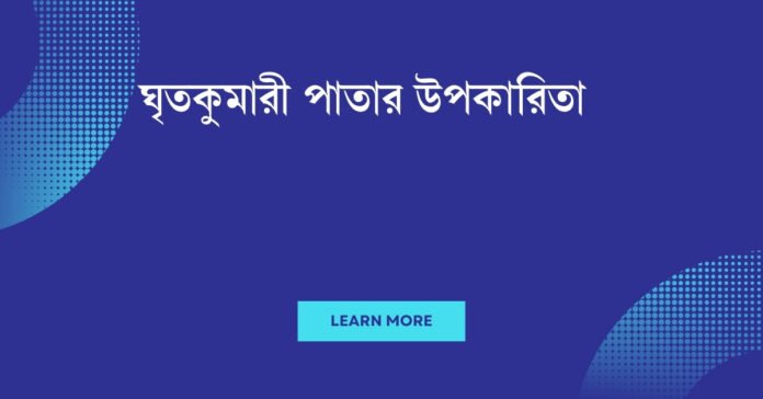 ঘৃতকুমারী পাতার উপকারিতা ঘৃতকুমারী পাতার উপকারিতা