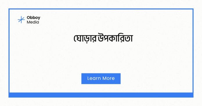 ঘোড়ার উপকারিতা