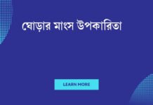 ঘোড়ার মাংস উপকারিতা