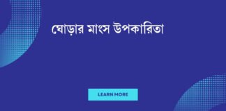ঘোড়ার মাংস উপকারিতা