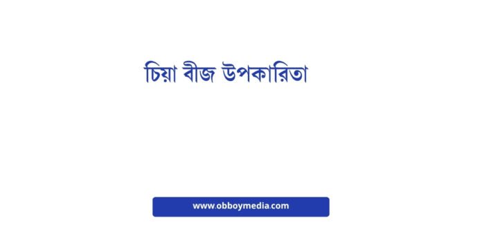 চিয়া বীজ উপকারিতা চিয়া বীজ উপকারিতা