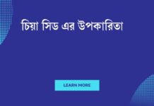 চিয়া সিড এর উপকারিতা