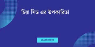 চিয়া সিড এর উপকারিতা