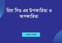 চিয়া সিড এর উপকারিতা ও অপকারিতা