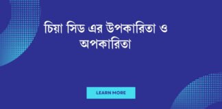 চিয়া সিড এর উপকারিতা ও অপকারিতা