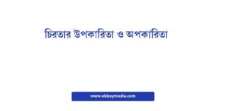 চিরতার উপকারিতা ও অপকারিতা