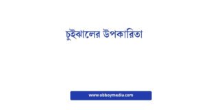 চুইঝালের উপকারিতা
