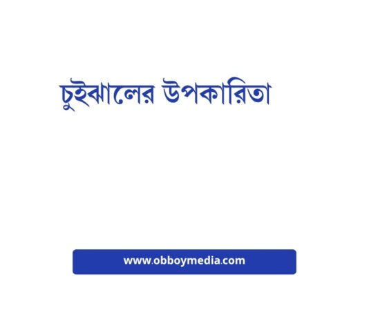 চুইঝালের উপকারিতা: একটি সুস্বাদু ও স্বাস্থ্যকর খাবার চুইঝালের উপকারিতা
