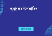 ছত্রাকের উপকারিতা: কেন এগুলো আপনার স্বাস্থ্যের জন্য একটি আধুনিক চমক? ছত্রাকের উপকারিতা