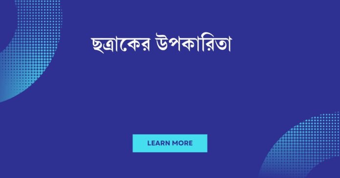 ছত্রাকের উপকারিতা