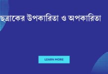 ছত্রাকের উপকারিতা ও অপকারিতা: একটি সম্পূর্ণ গাইড ছত্রাকের উপকারিতা ও অপকারিতা