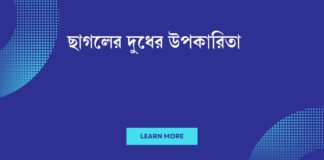 ছাগলের দুধের উপকারিতা