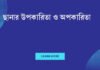 ছানার উপকারিতা ও অপকারিতা