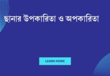 ছানার উপকারিতা ও অপকারিতা: স্বাস্থ্য, পরিবেশ ও অর্থনৈতিক দৃষ্টিকোণ ছানার উপকারিতা ও অপকারিতা