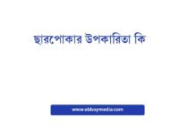 ছারপোকার উপকারিতা কি? এক ঝলকে জেনে নিন এই ছোট্ট কীটের বিশাল শক্তি ছারপোকার উপকারিতা কি