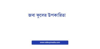 জবা ফুলের উপকারিতা