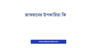 জাফরানের উপকারিতা কি