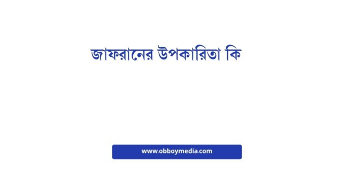 জাফরানের উপকারিতা কি