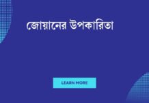 জোয়ানের উপকারিতা: শরীর ও মনের জন্য অপরিহার্য গুণাবলী জোয়ানের উপকারিতা