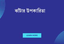 ঝাঁটার উপকারিতা
