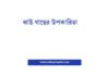 ঝাউ গাছের উপকারিতা: প্রকৃতির এক অপরূপ সম্পদ ঝাউ গাছের উপকারিতা